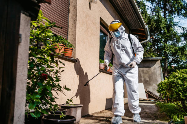 Best Affordable Pest Control Services  in Pineville, LA