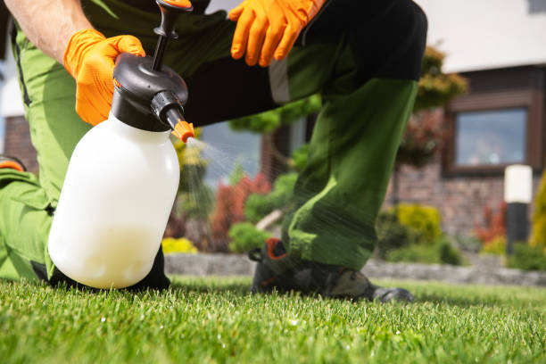 Best Pest Inspection Near Me  in Pineville, LA