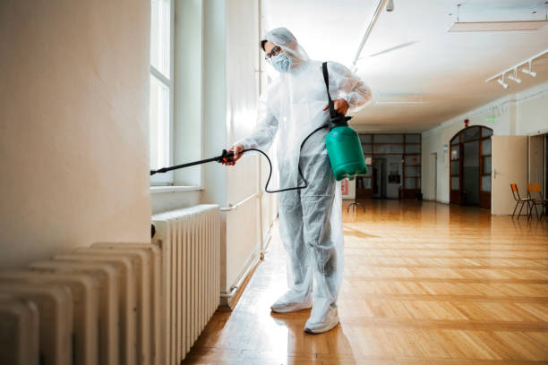 Best Pest Removal Services  in Pineville, LA